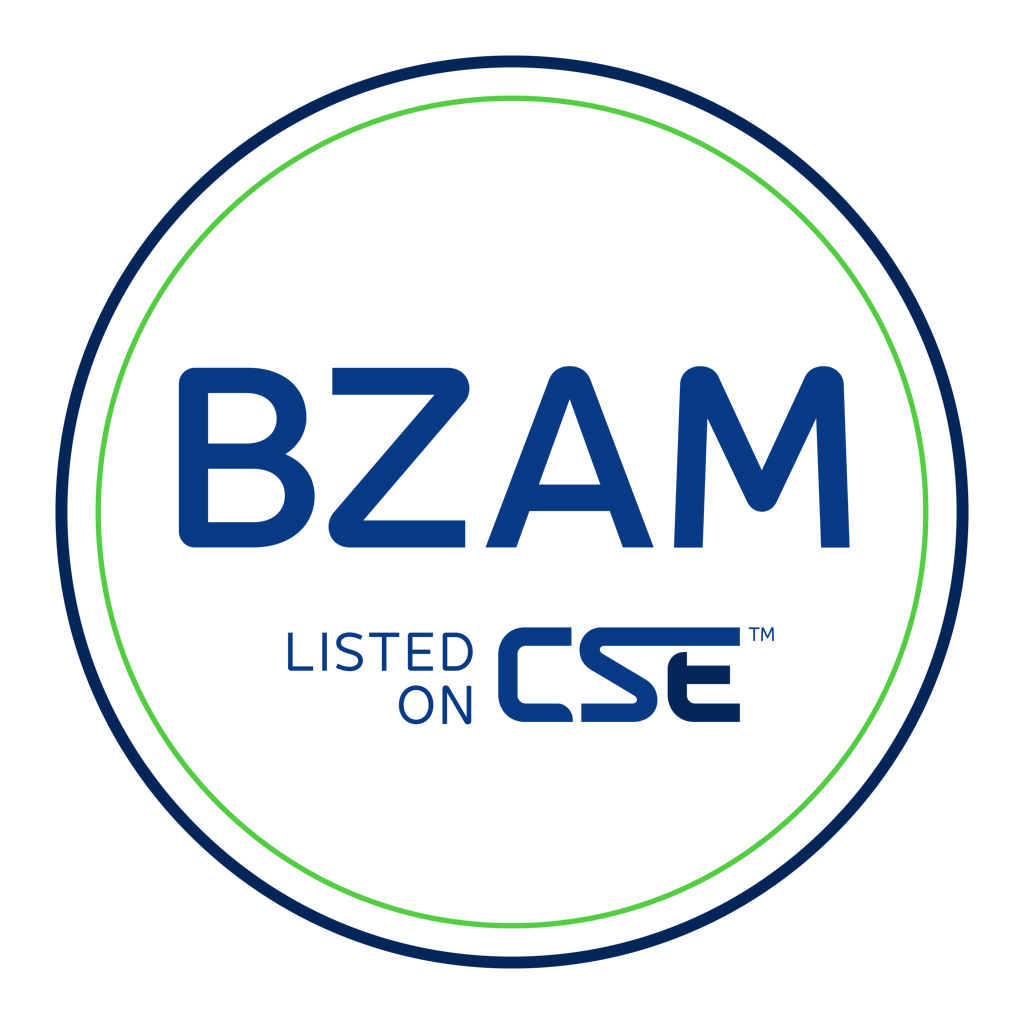 Logo for BZAM Ltd.