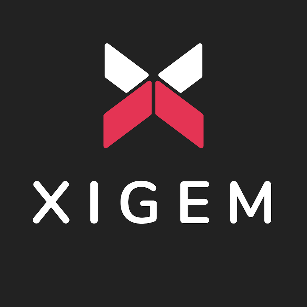 Logo for Xigem Technologies Corporation